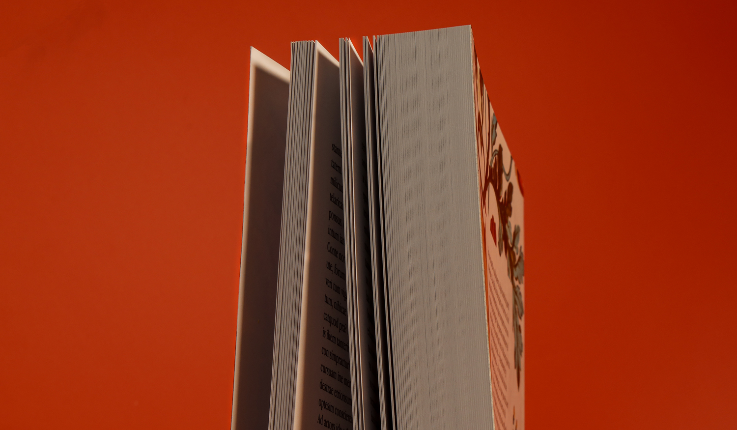 libro de bolsillo