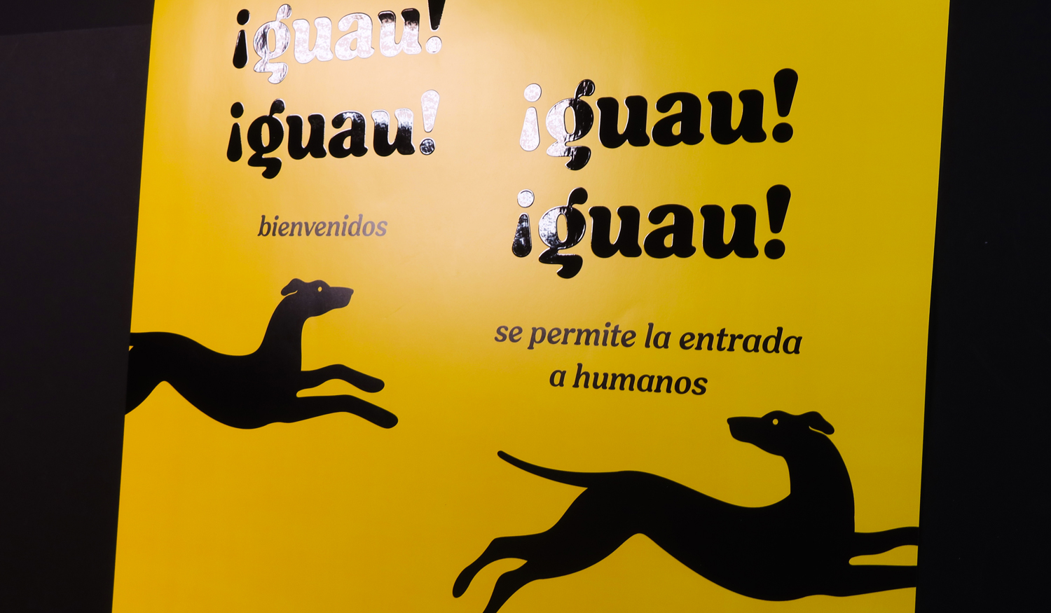 Eleva la percepción de tu tienda de animales u hotel canino con acabados especiales como el barniz.