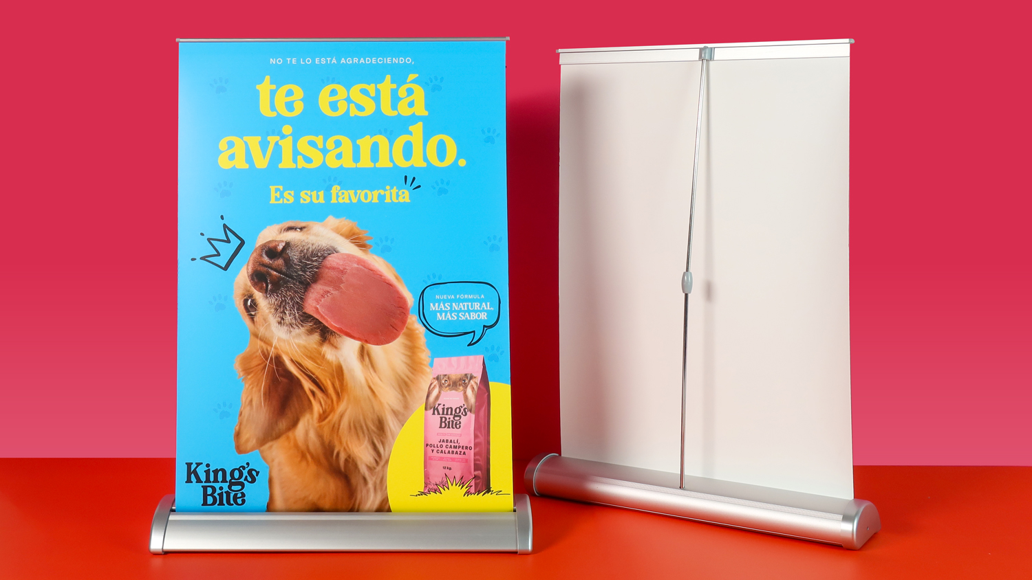 Tendencias de consumo para mascotas: Destaca en tiendas de animales