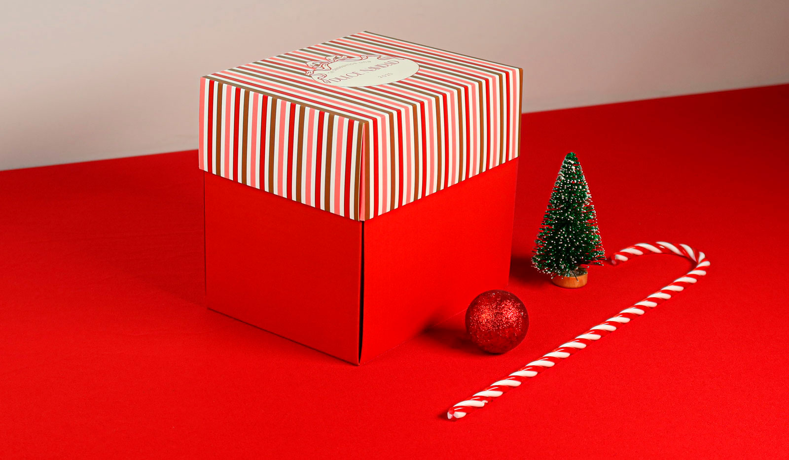 regalo navidad truyol