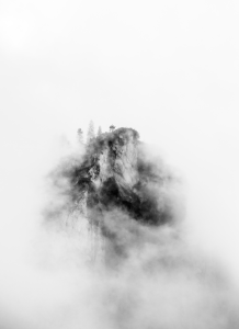Fotografía de Nicolás Sánchez.