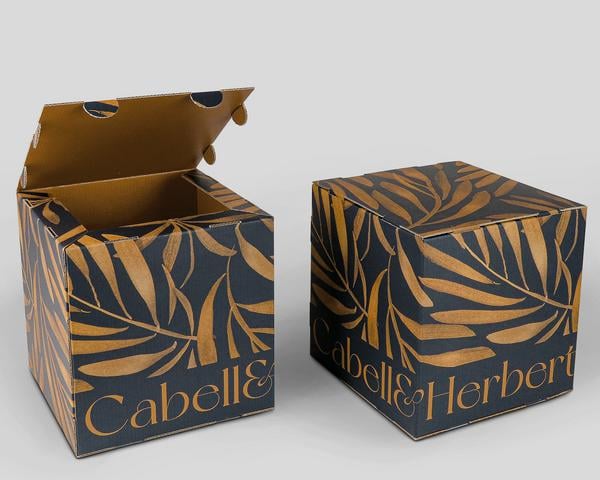 Packaging cajas cubo