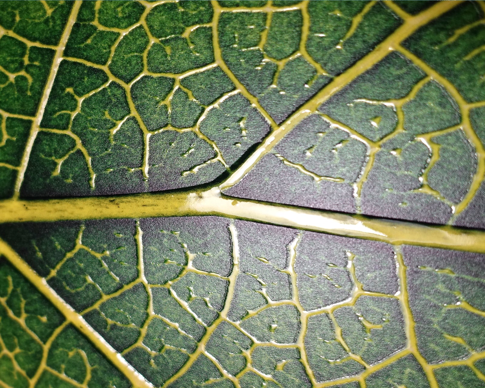 ejemplo01